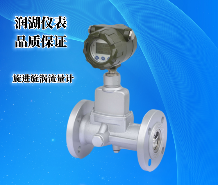 旋进旋涡流量计